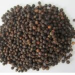 Black Pepper1